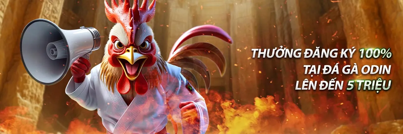 Dịch vụ khách hàng VIP 33win